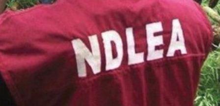Gunmen ambush NDLEA operatives, soldiers, escape with Lagos drug baron