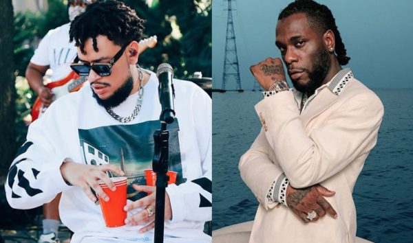 "I advised AKA to purchase a gun for defence"- Burna Boy