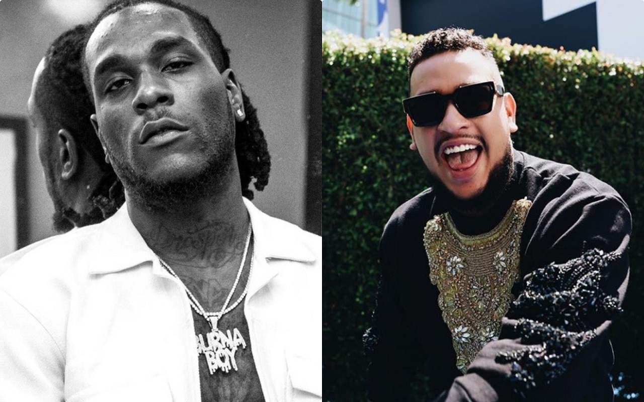 "I advised AKA to purchase a gun for defence"- Burna Boy