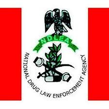 VIDEO: WATCH moment NDLEA operatives uncovered drugs hidden in a jerry can