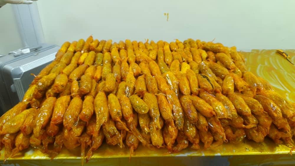 Clergy nabbed over attempt to export meth, skunk concealed in kegs of palm oil to Dubai