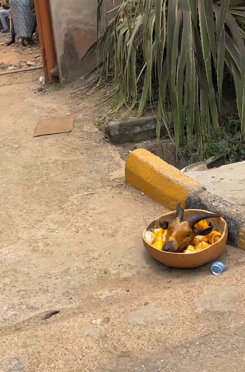 TRENDING! Ritual offering captured at Omole polling center in Lagos [Video]