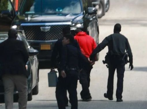 Cops storm Rihanna’s house as man shows up to propose