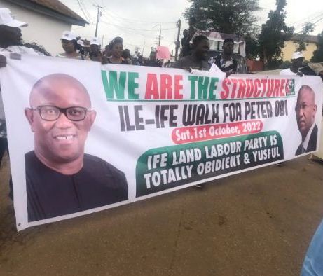 Labour Party supporters set to occupy INEC offices nationwide, except …