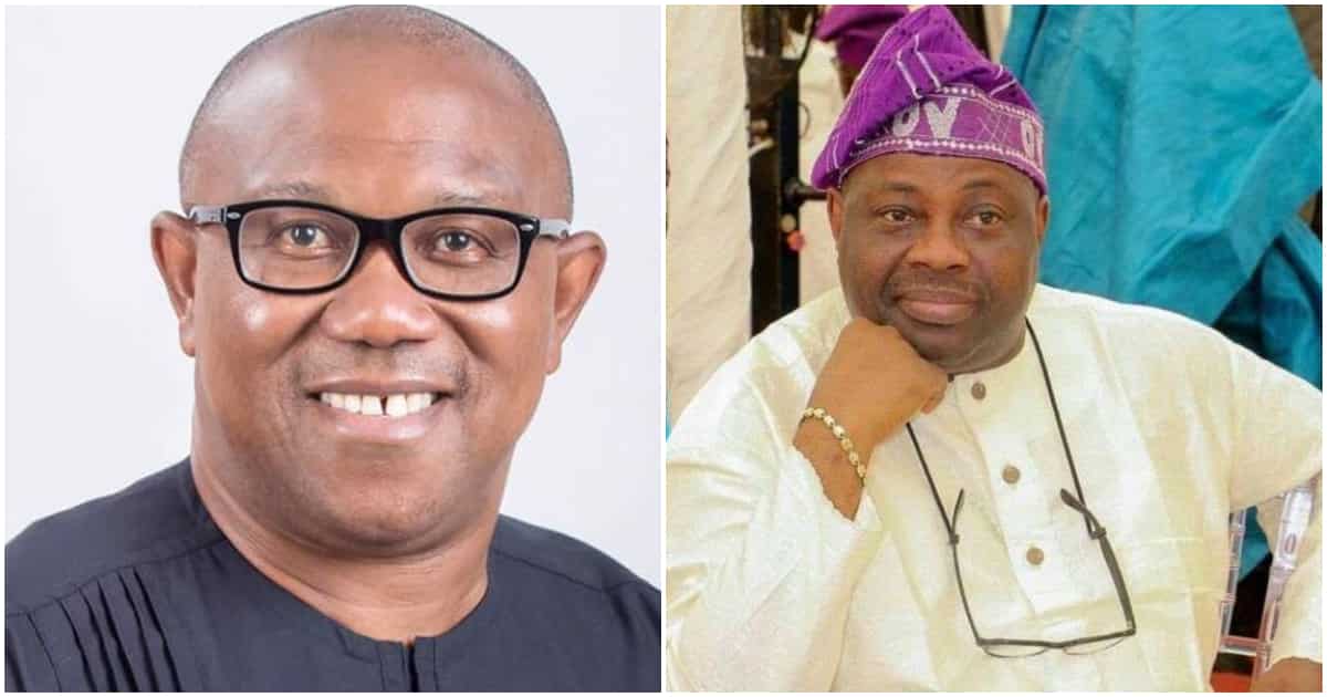 PRESIDENTIAL ELECTION: "Ethnic factor played out in favour of Obi in Lagos"- Dele Momodu