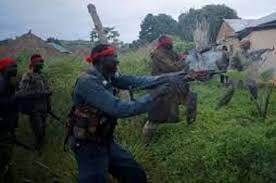 Bandits displace 7 villages in Kebbi, Sokoto States