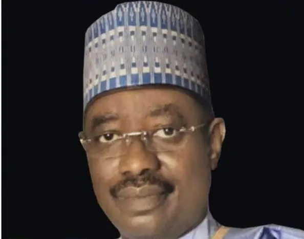 Ibrahim Bomai emerges Yobe South senatorial election winner