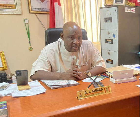 NDLEA arrests 352 suspects, seizes 2.1 tonnes of illicit drugs in Kano