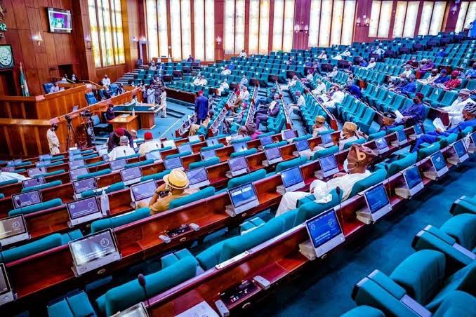 HoR Committee wants presidential panel to probe Nigeria Air’s unveiling
