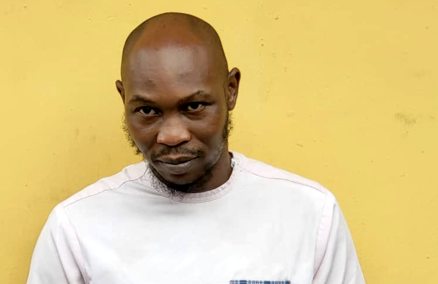 Assault on police: Seun Kuti has evidence – Falana reveals