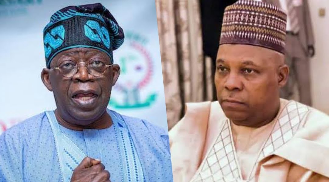 Tinubu, Shettima, others to secretly declare assets before May 29