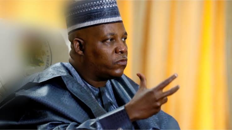 Presidency clarifies VP Shettima’s remarks on Senate presidency