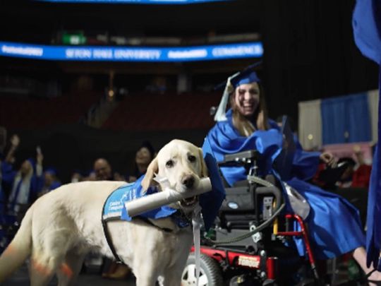 Service dog receives college diploma