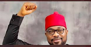 HoR appoints Ugochinyere as deputy chairman adhoc C’ttee on Media and Public Affairs 