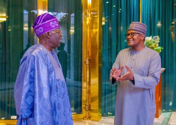 Dangote reveals real reason behind visit to Tinubu