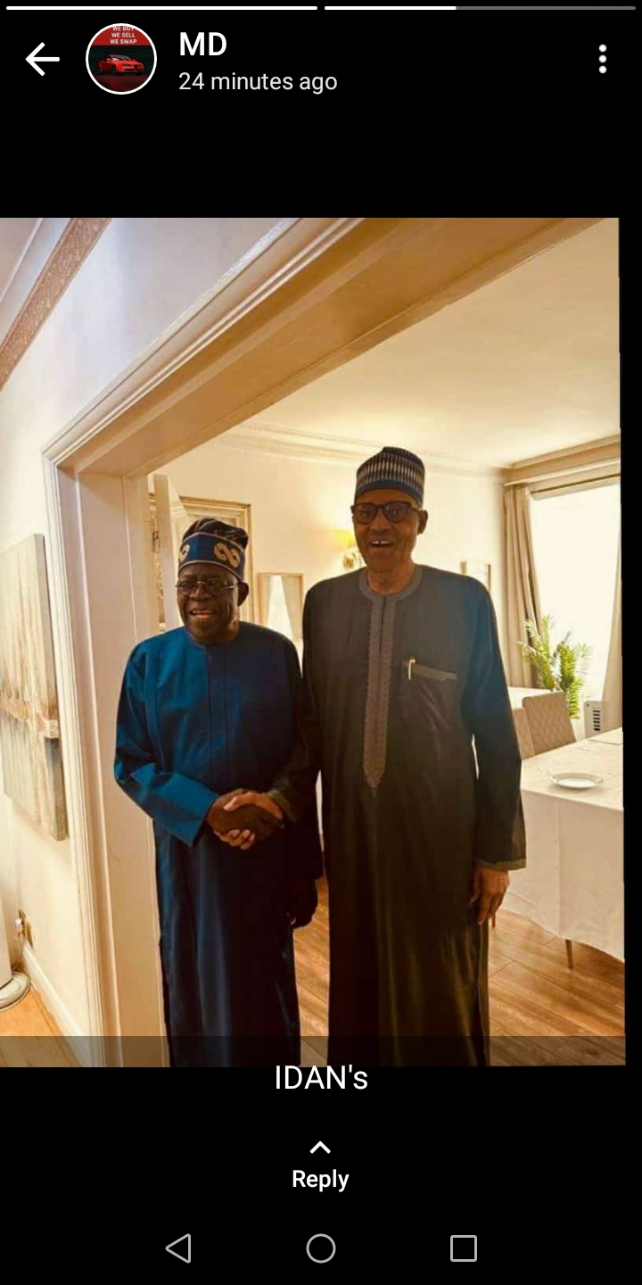 Buhari denies asking Tinubu to stop probing him and former aides