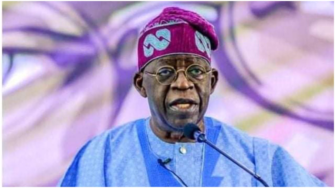 Tinubu’s 15 days in office leave investors excited about Nigeria – Bloomberg report