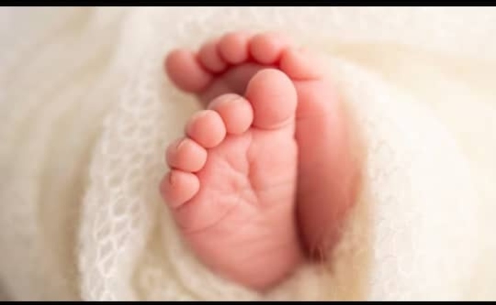 Stray Dog found carrying newborn baby in trash bag