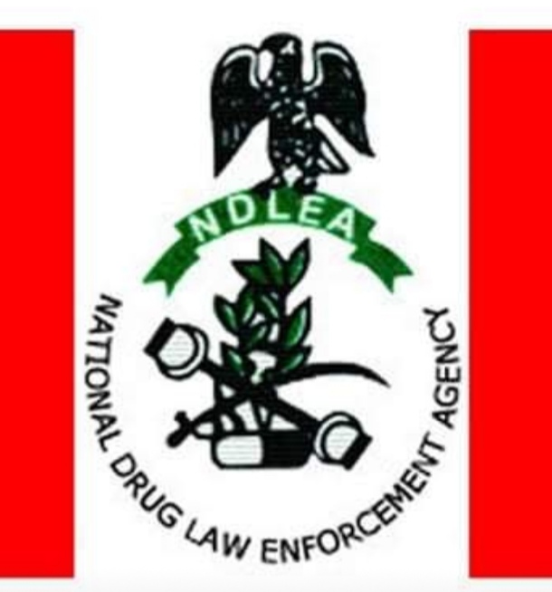 NDLEA expresses concern as drug abuse among women surges