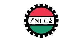 FG  not making effort to address issues raised – NLC