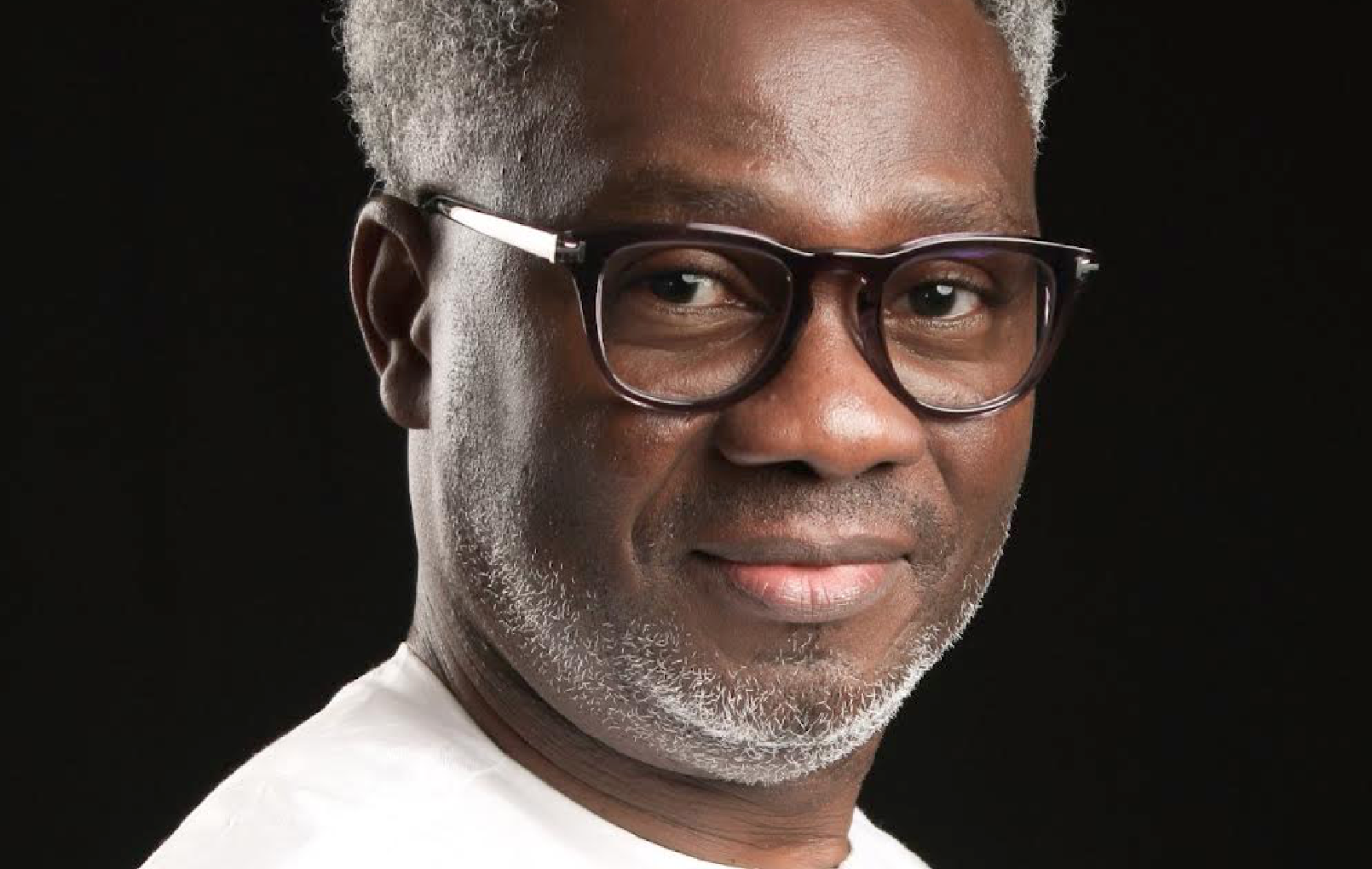 Panellists to discuss digital culture, democracy at unveiling of book on Cyber Politics