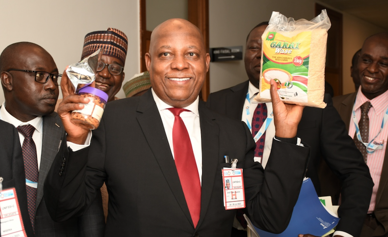 Nigeria mobilises $500m for food system transformation – Shettima