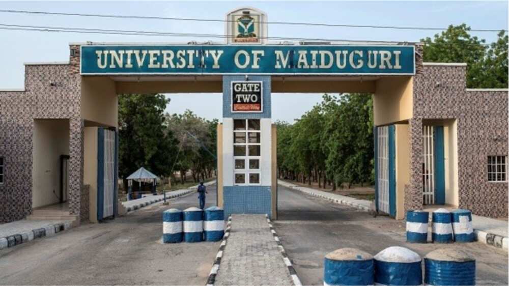 Federal universities in Nigeria remain tuition-free, presidency insists