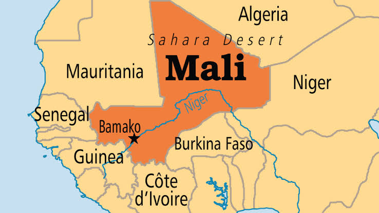 Mali’s Junta partially reshuffles government after draft constitution vote