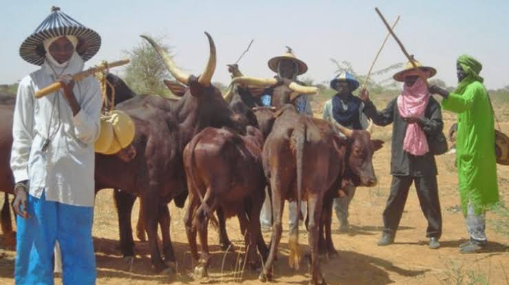 Miyetti Allah forms legal Cttee to help combat injustice faced by herdsmen
