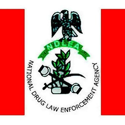 Drug baroness, 4 kingpins arrested as NDLEA busts 3 syndicates in Lagos