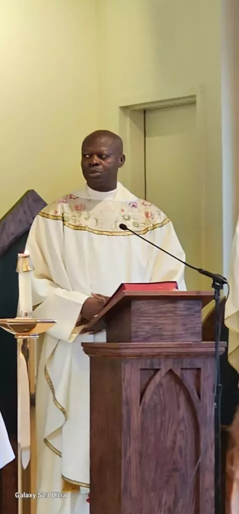 30th anniversary: Nigerian Catholic cleric counts gains in priesthood