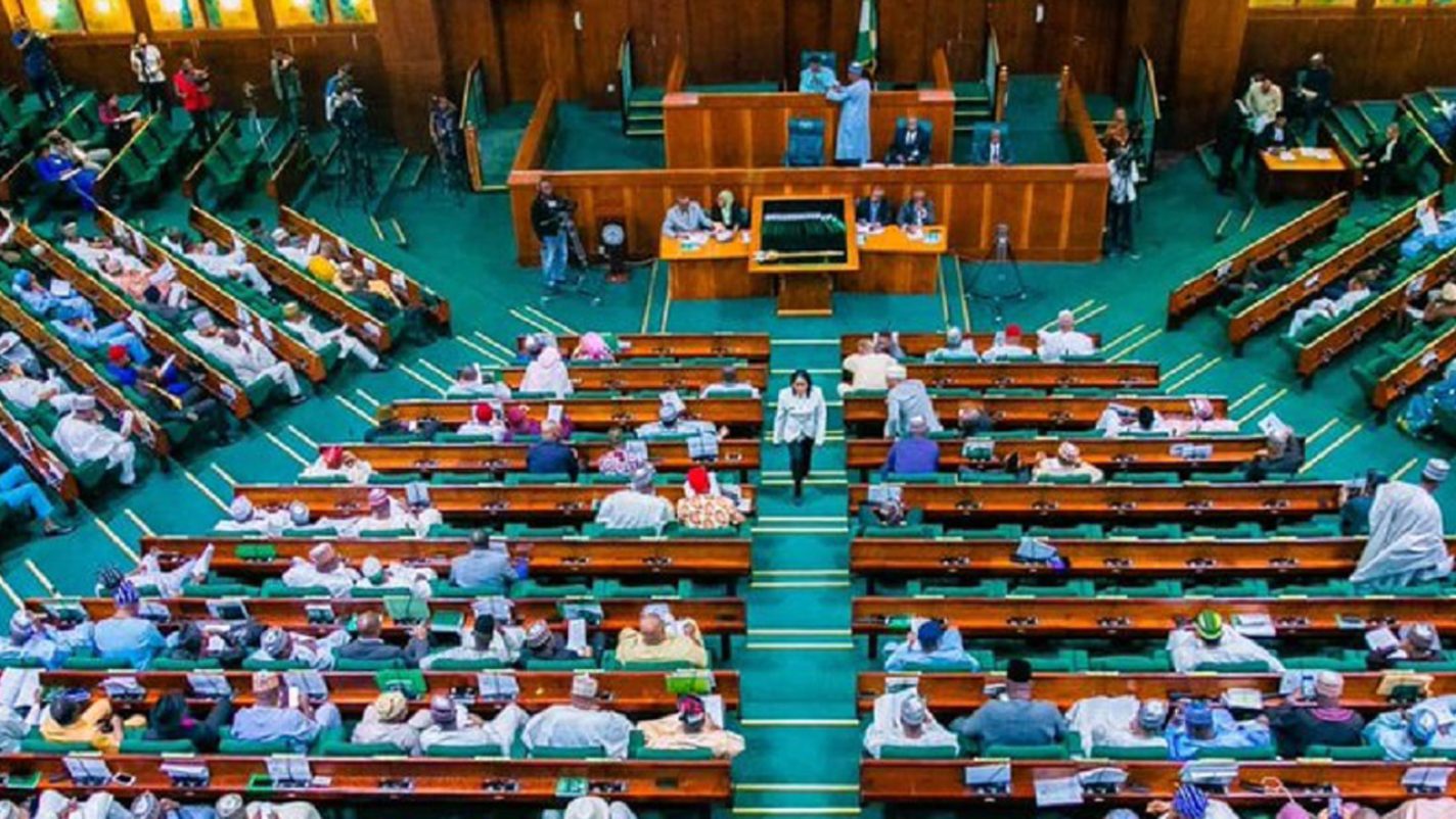 Reps pass bills to review death penalty, LG reforms, citizenship laws