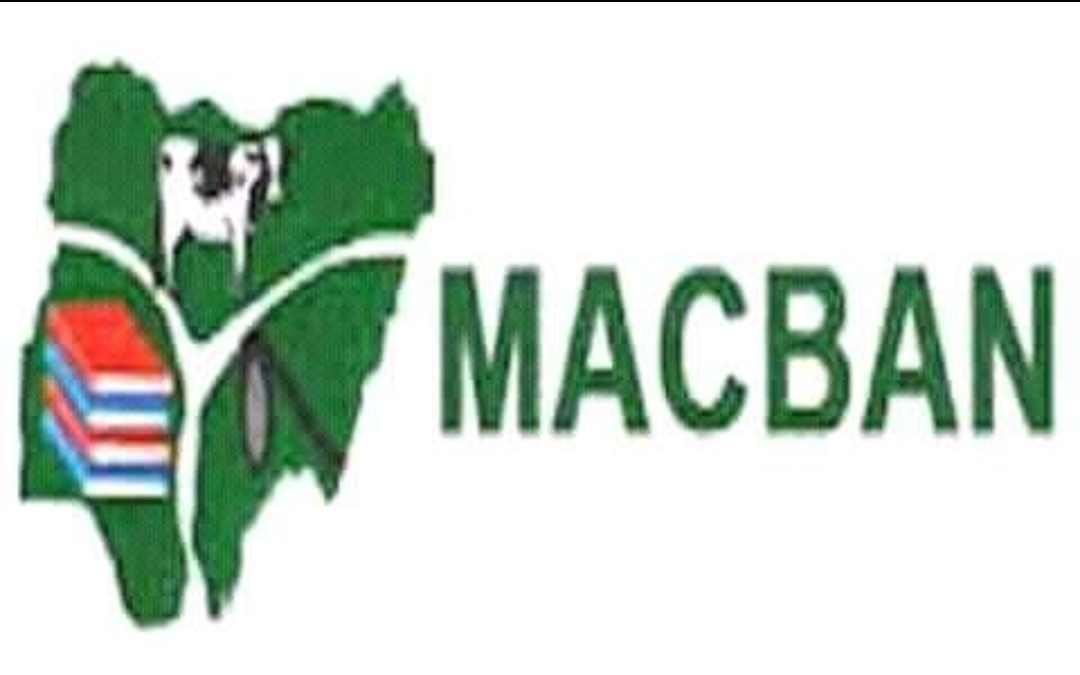 Subsidy: MACBAN decries drop in business in Bauchi markets