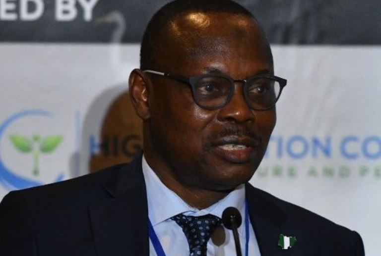 Climate Action: Removal of subsidy reduces Nigeria’s consumption rate by 33% – Salako