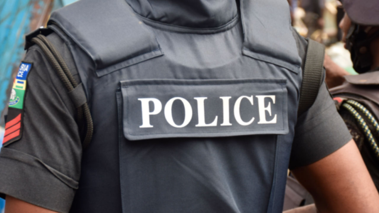 Ogun police confirm arrest of 19 suspected cultists