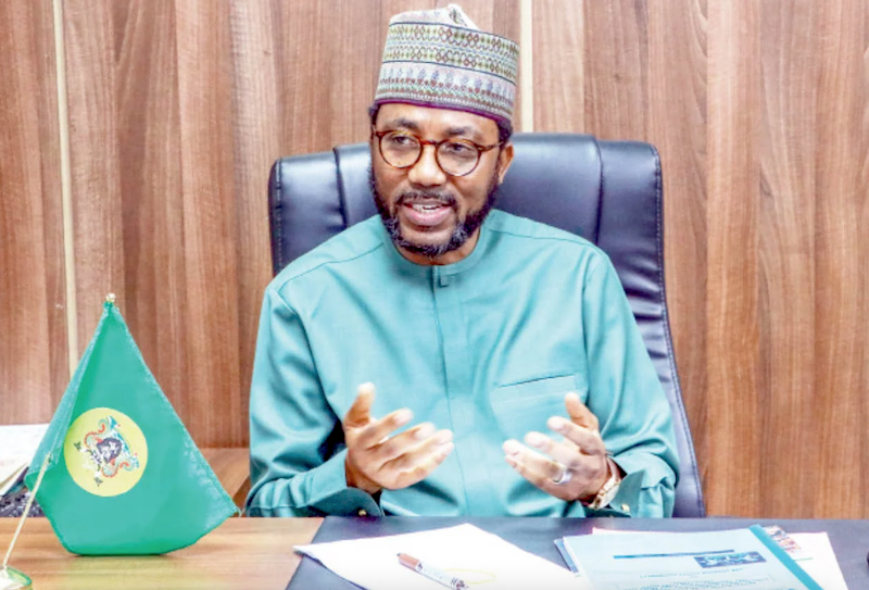 Ridiculous auction: More trouble for NPA officials as Reps probe continues Monday