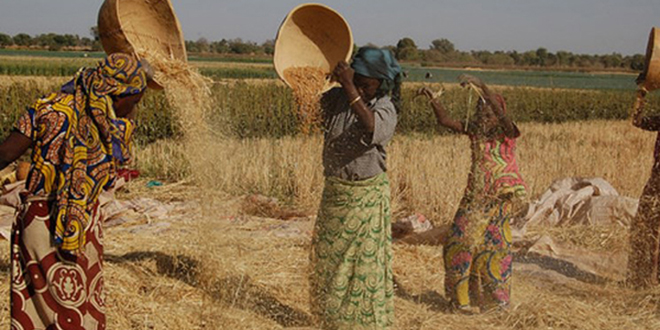 More women are needed in agriculture, says Amina Malah
