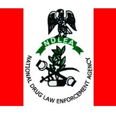 NDLEA arrests drug kingpin supplying bandits, nabs 10 others in nationwide raids