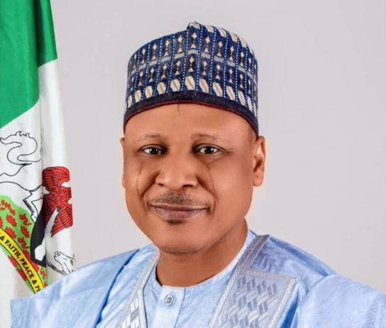 Kidnappers of students must be fished out, punished – Minister