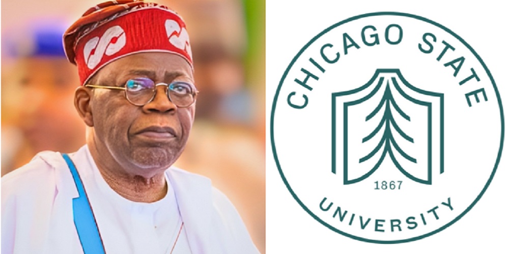 Alleged certificate forgery: Nigeria now wears outlook of cheats worldwide, says Sowunmi