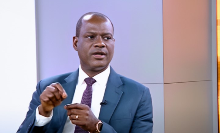Multiple taxes creating problems, should be suspended – Tinubu’s appointee