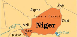 US suspends $200m assistance to Niger Republic over coup