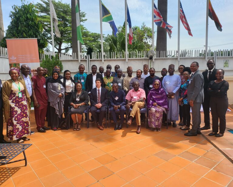 IFPRI, others unveil food security simulator