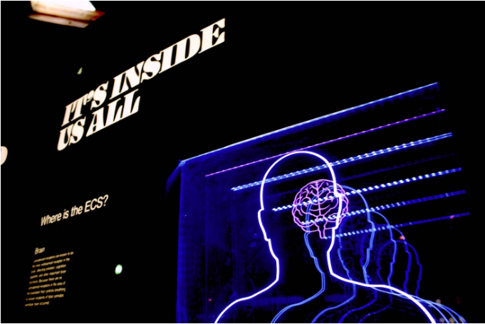 The Psychology of Online Betting: Understanding the Risks and Rewards
