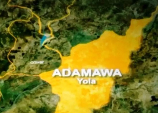 Adamawa orders hoteliers to install CCTV cameras after suspected ritualist beheads lady