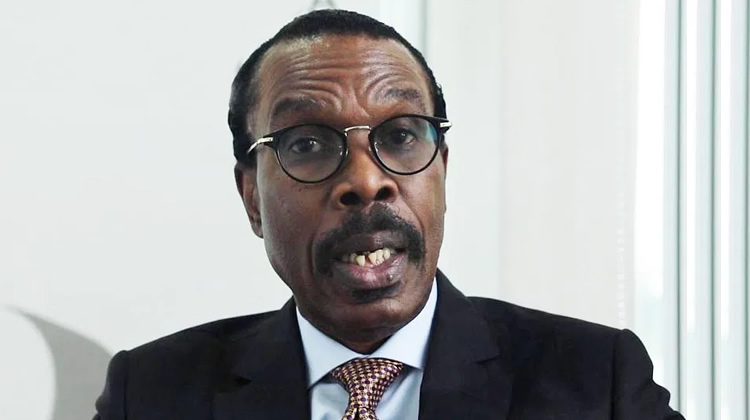 Sub-national experience not enough to run government at federal level – Rewane