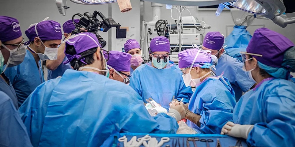 MEDICAL breakthrough: US surgeons perform world’s 1st whole eye transplant