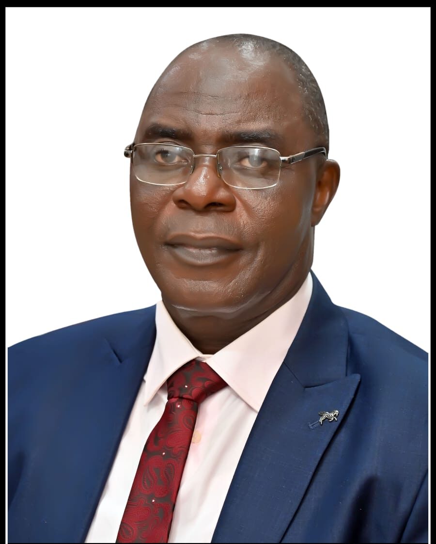 Role of auditors place them as ‘watchdogs or gatekeepers’ – Lagos Auditor-General