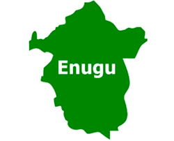 Enugu: Why we impeached Udenu LG legislative leader - Councillors