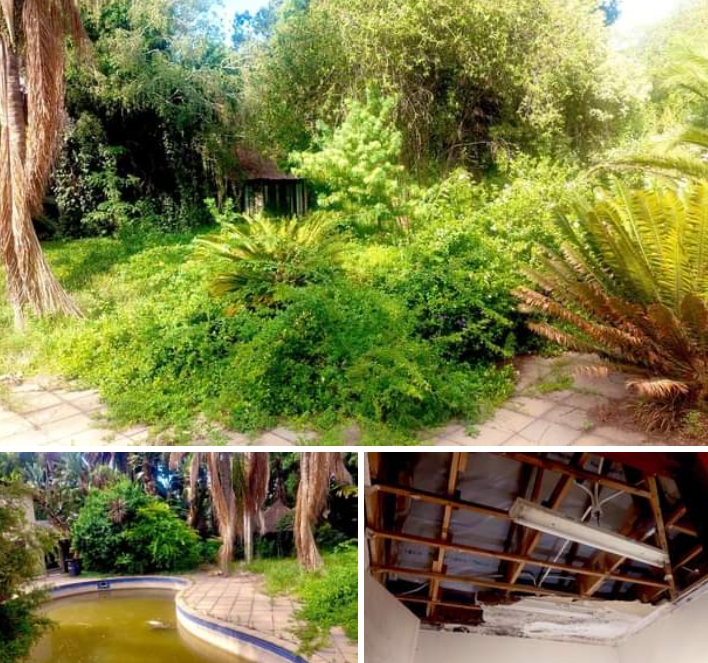 Unpaid electricity bills: Mandela’s grandchildren abandon his mansion